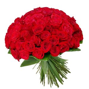 50 Rosas Colombianas