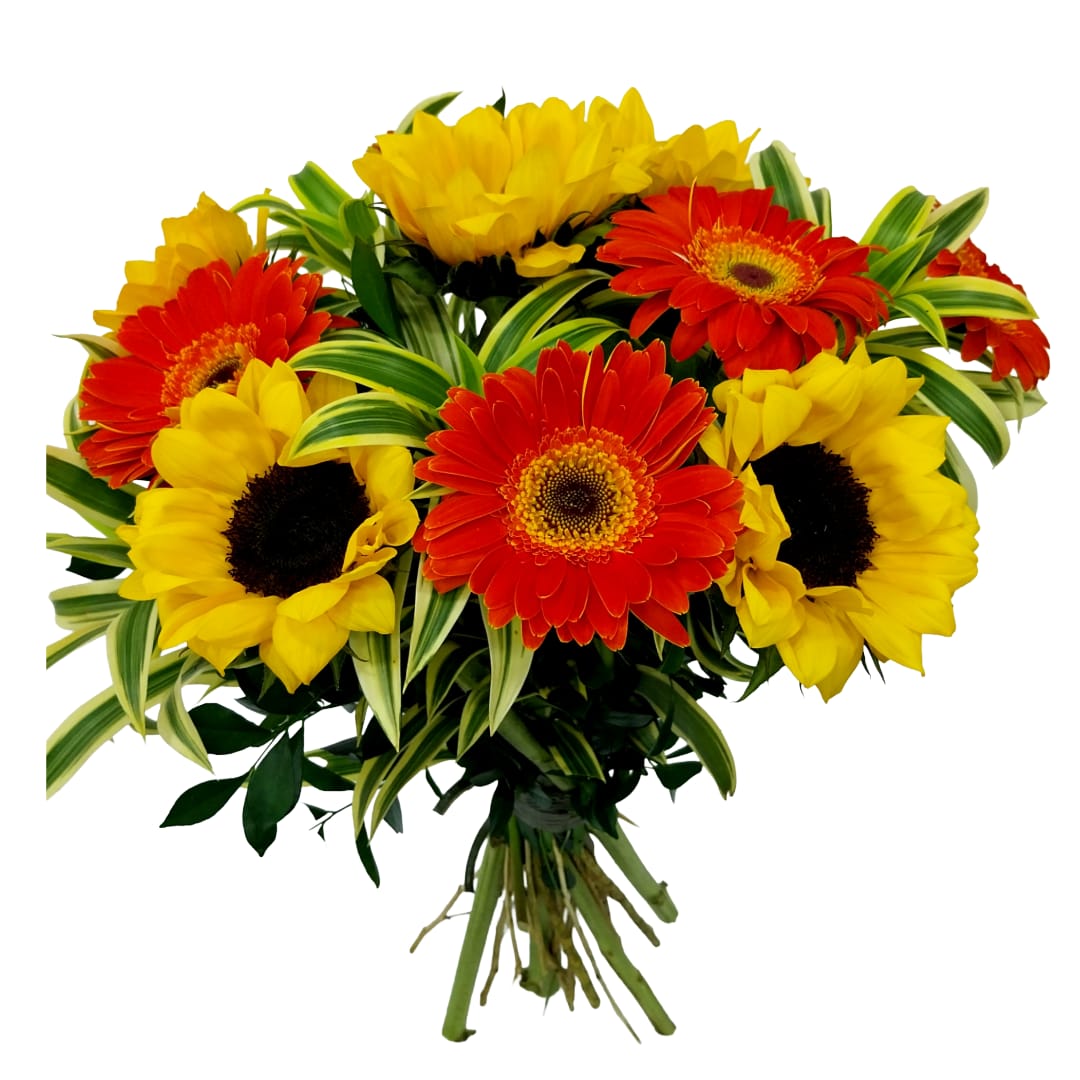 Bouquer compacto gerberas com Girassol