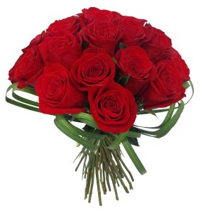 Bouquet de 12 Rosas Colombianas  Vermelhas