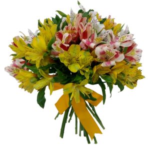 Bouquet de Astromelia colorida