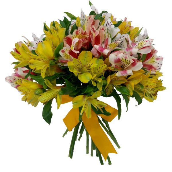Bouquet de Astromelia colorida