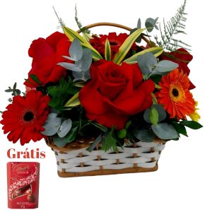 Promoção de Hoje 29/08