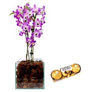 Dendrobium B de Vidro