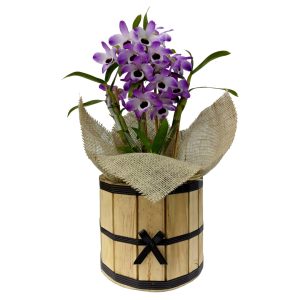 Orquidea Dendrobiun Na Juta com Cachepot ( Promoção )