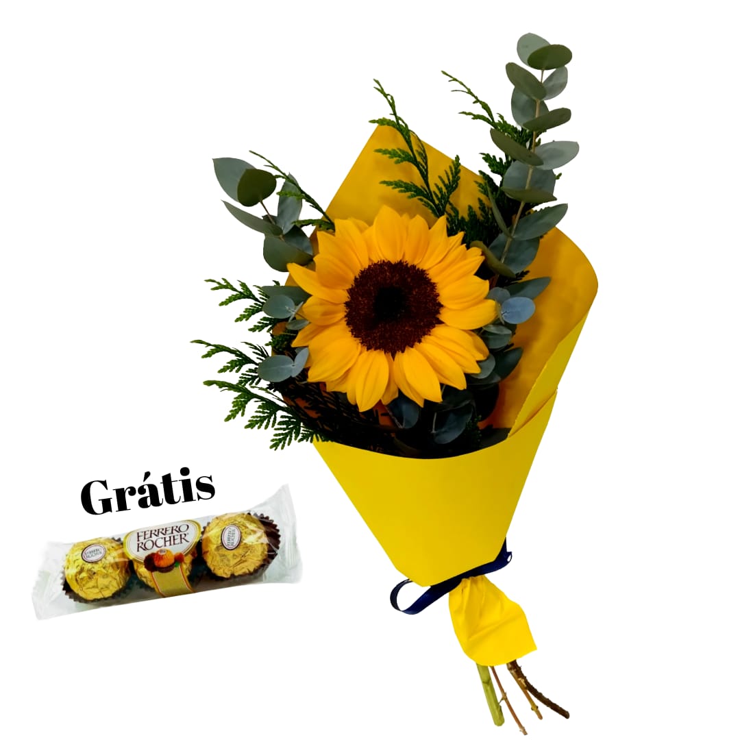 Mimo de  Girassol