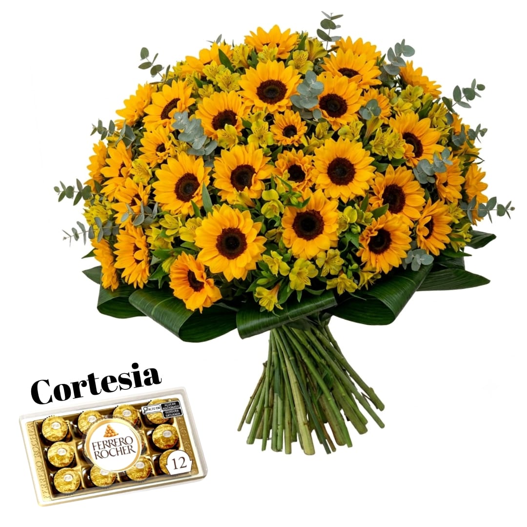 Big Bouquet com 60 Girassois com astromelia e Eucalipto