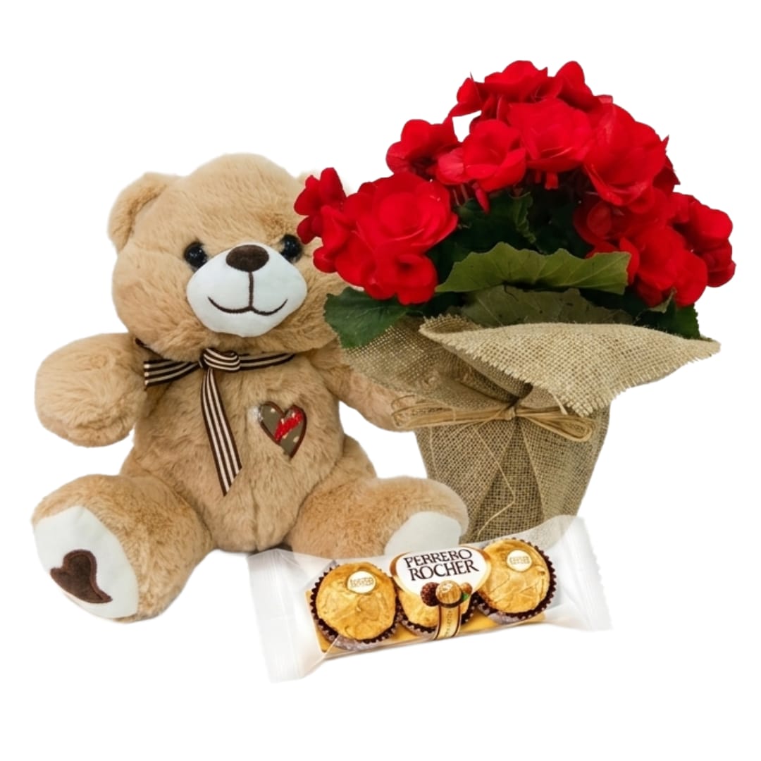 Kit carinho com Begonia Plantada